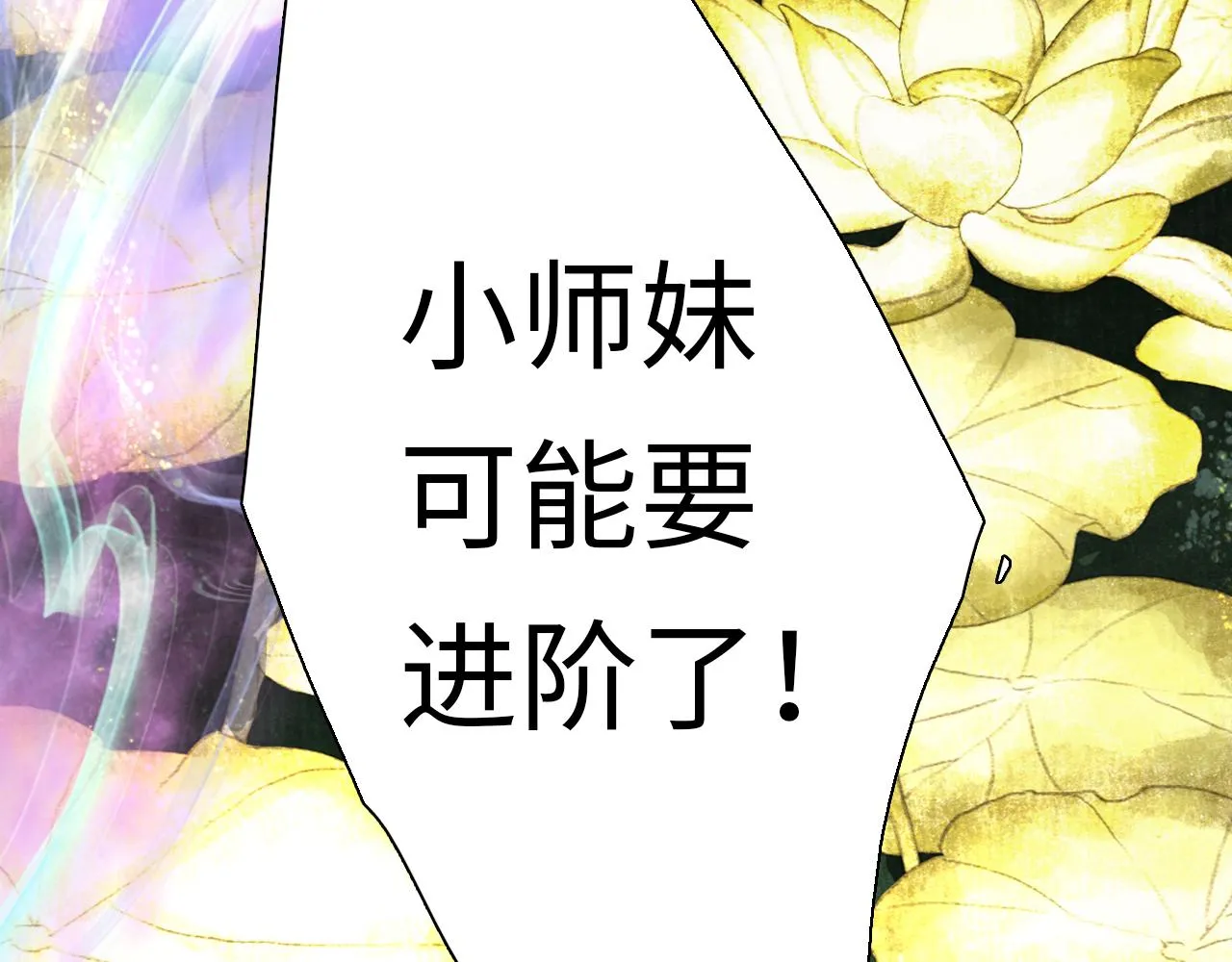 第216页
