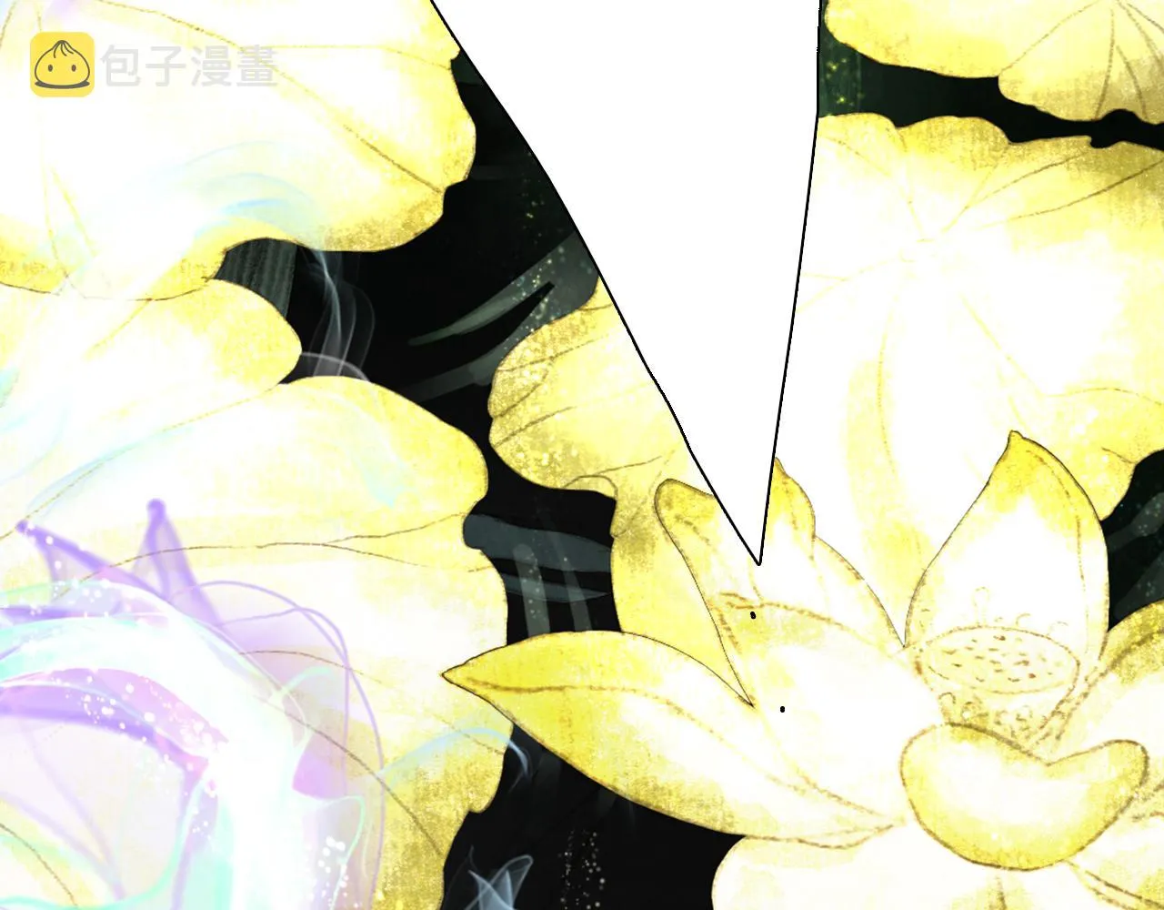 第219页