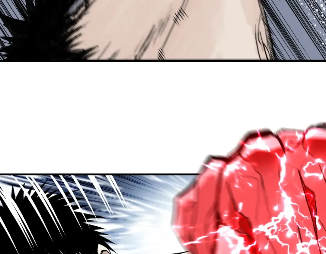第204页