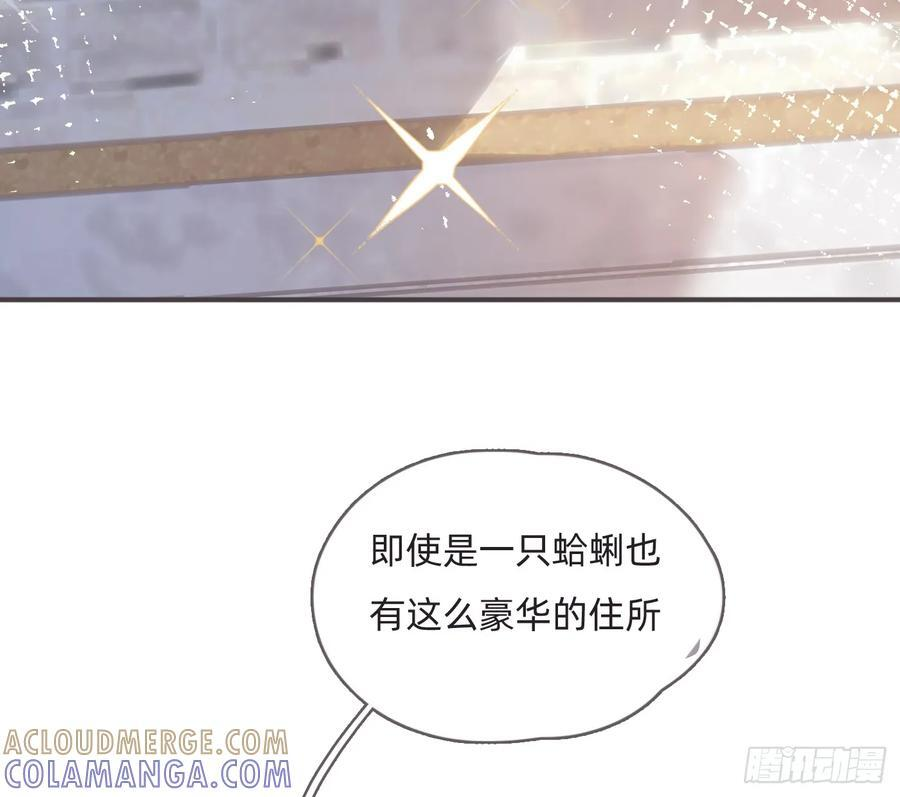第216页