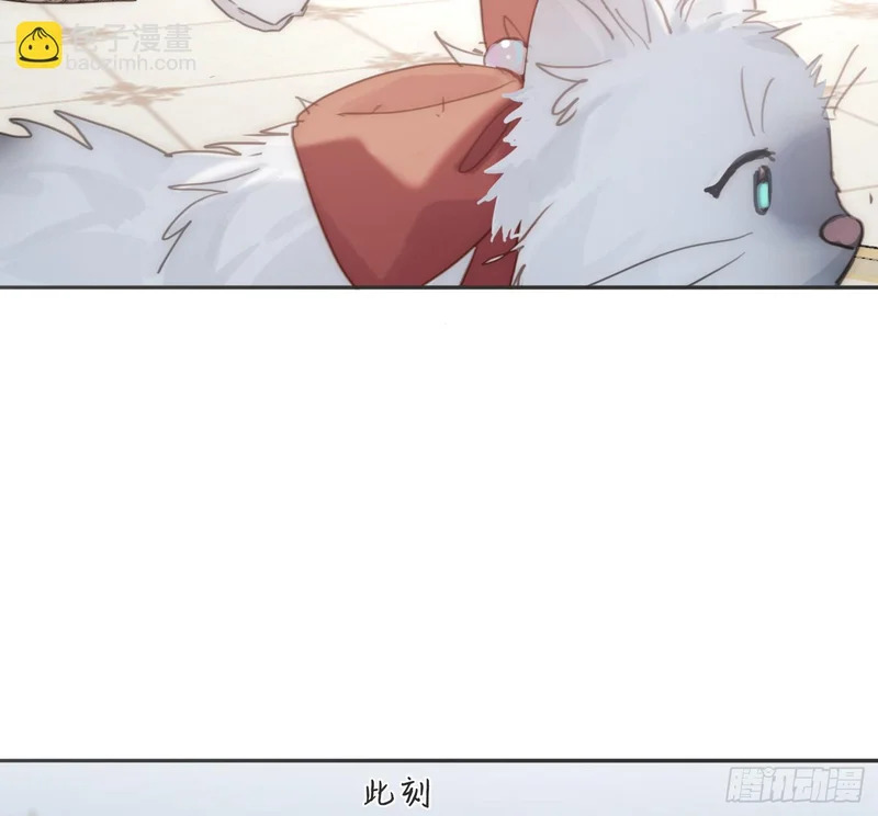 第255页
