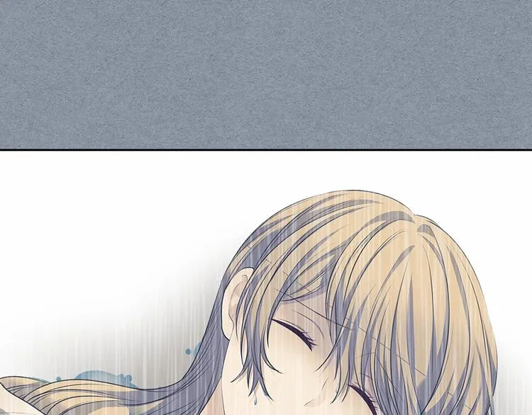 第558页