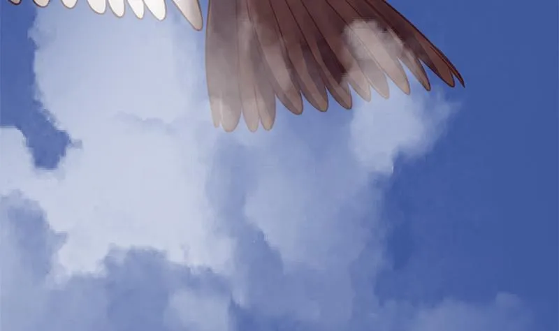 第225页