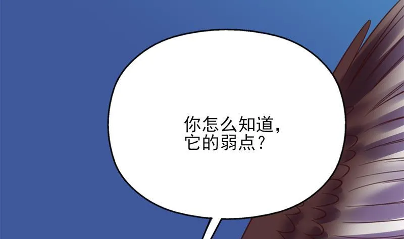 第219页