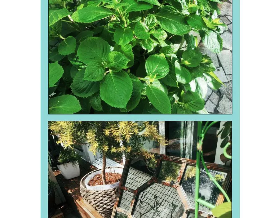 第237页