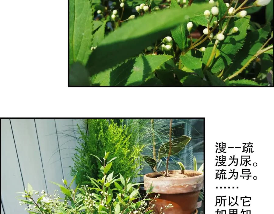 第252页