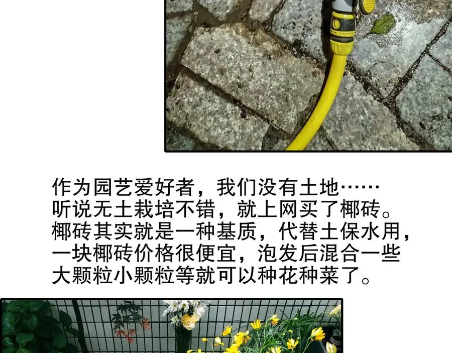 第285页