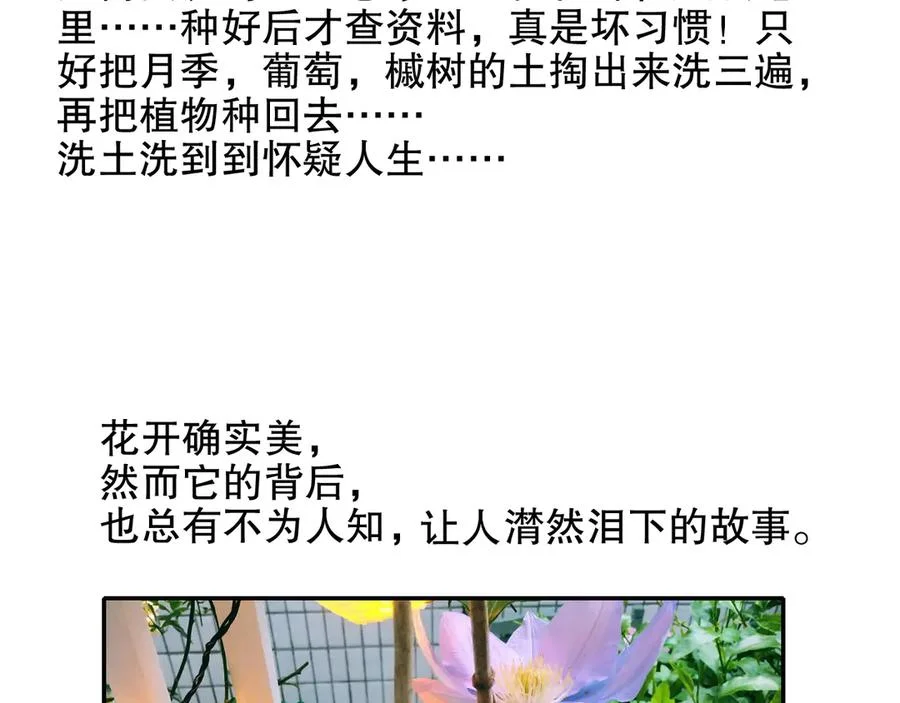 第291页