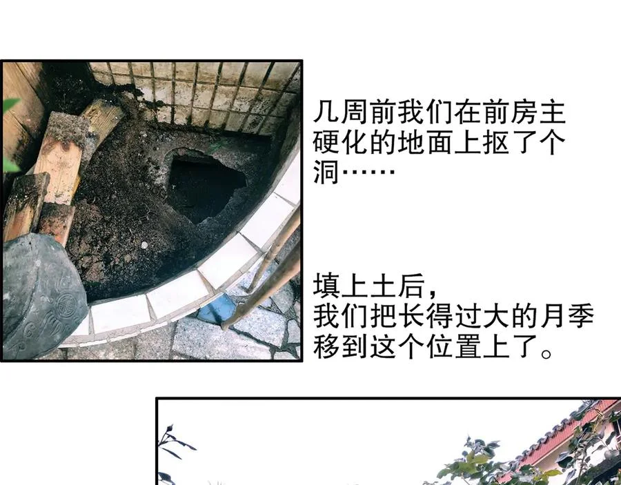 第273页