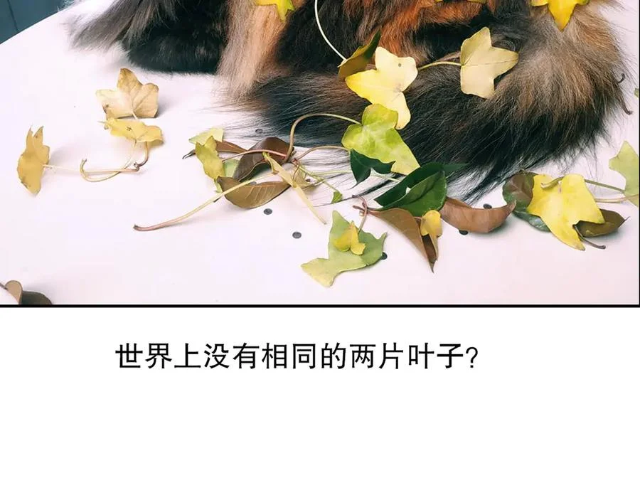 第270页