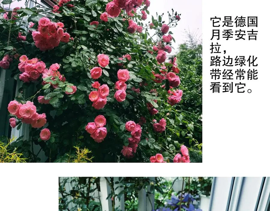 第255页