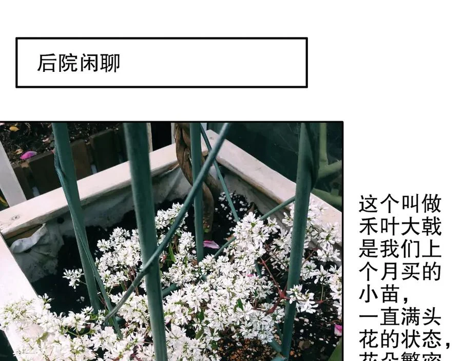 第237页