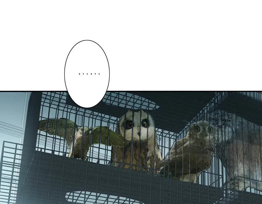 第222页