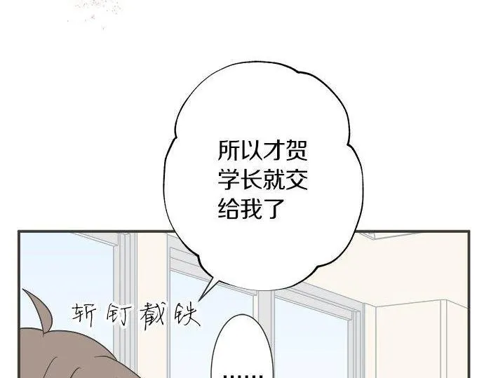 第204页