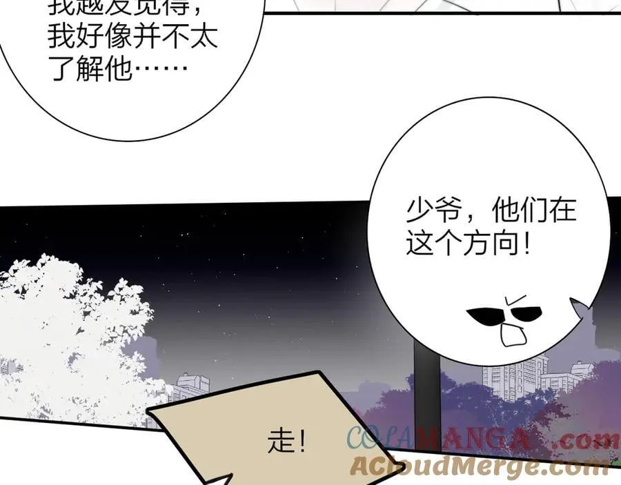 第204页