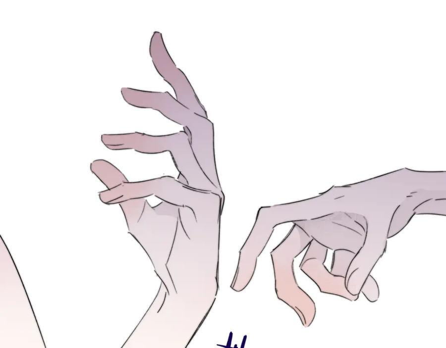 第204页