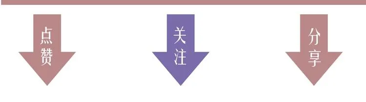 第339页