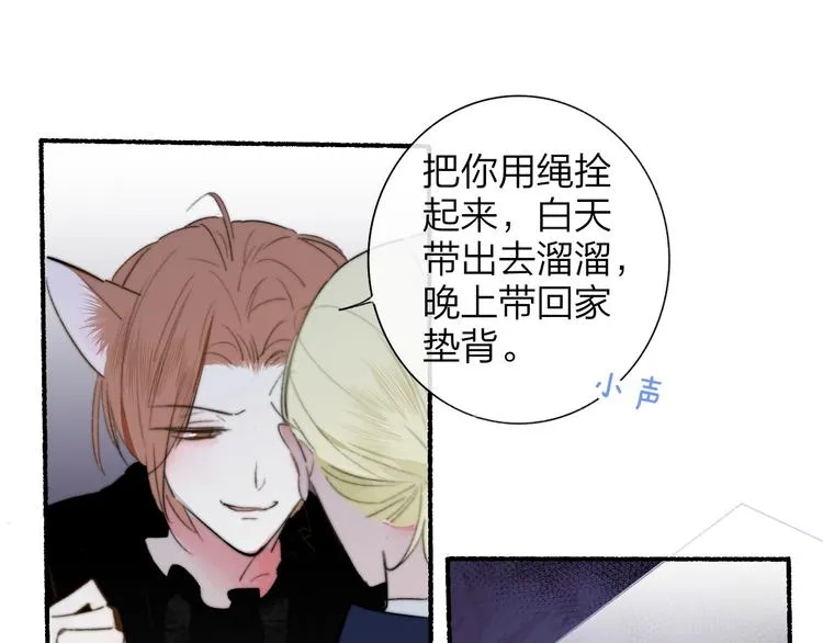 第243页