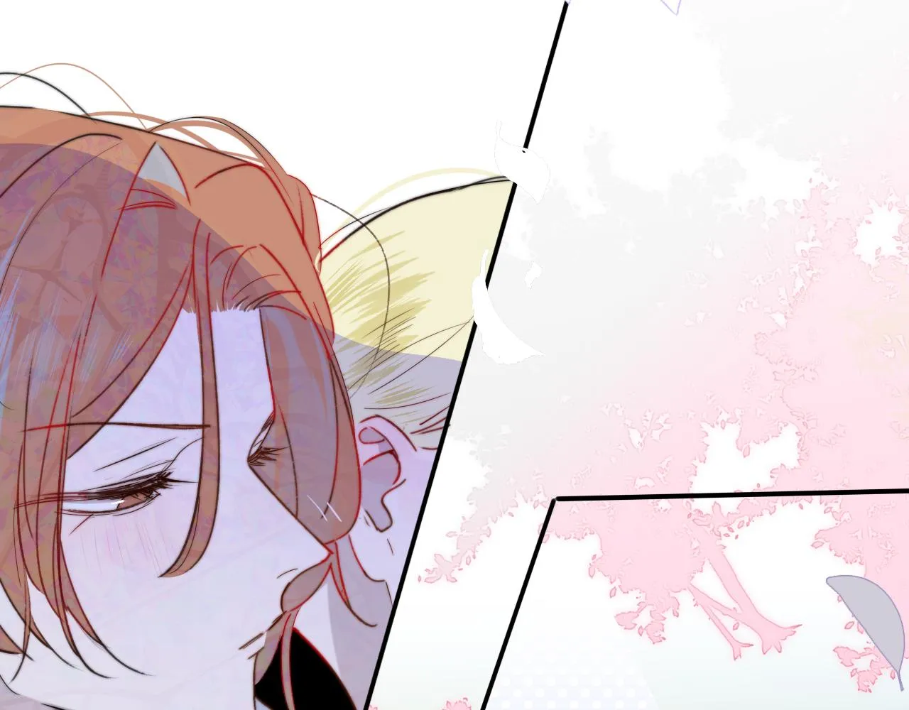 第216页