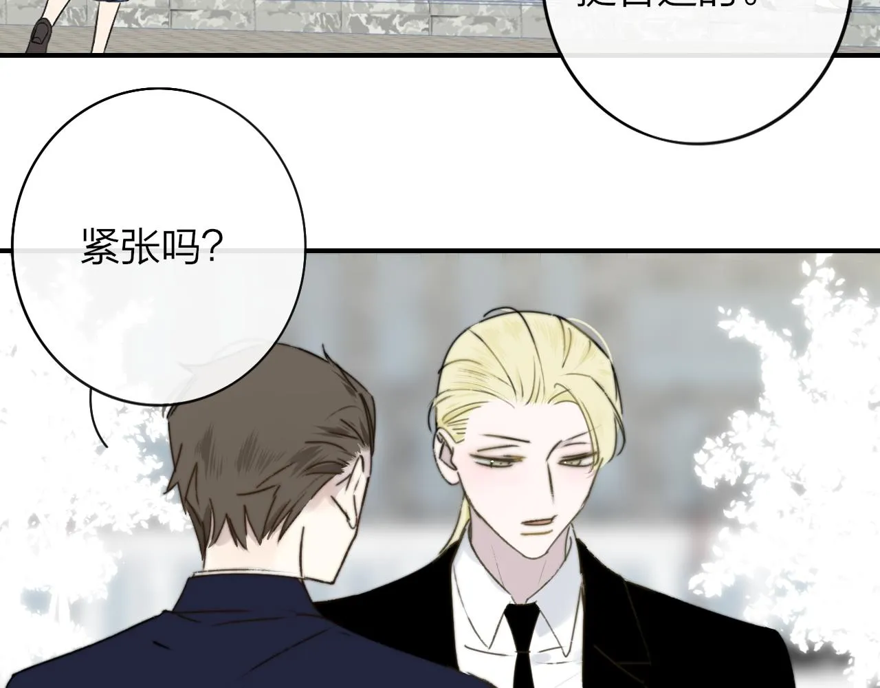 第384页