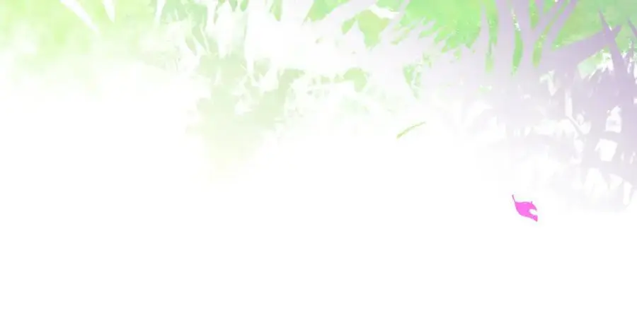 第219页