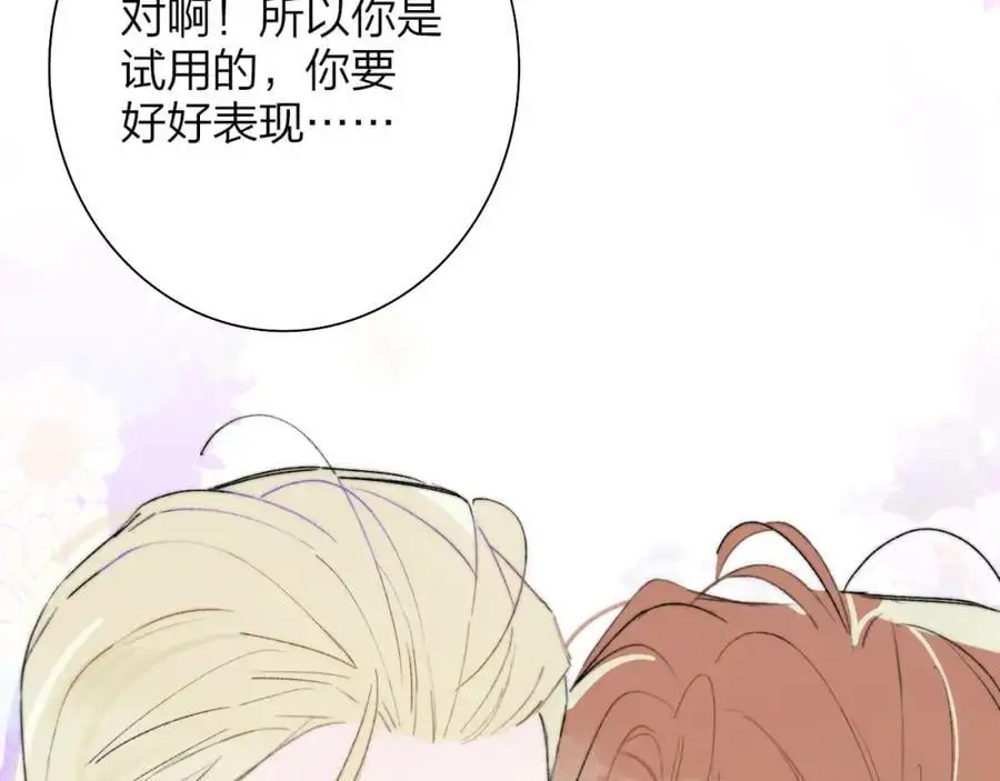 第258页
