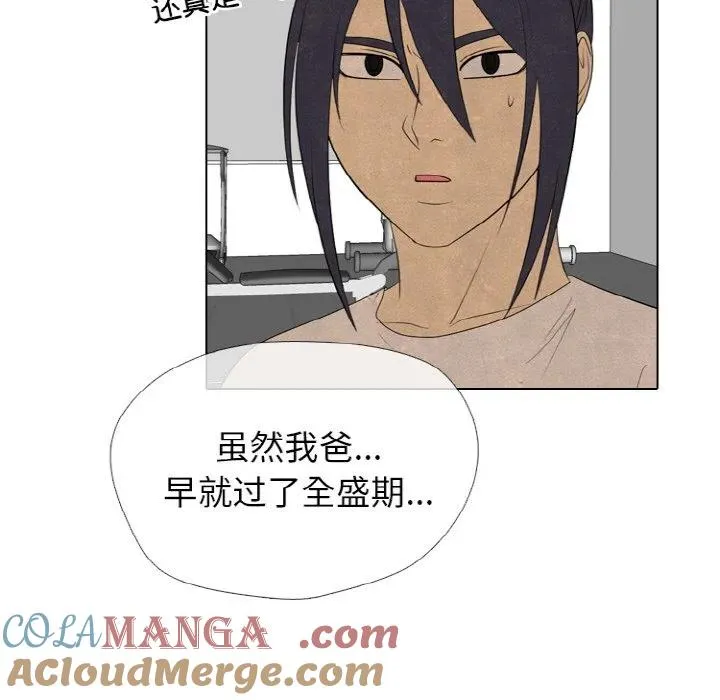 第252页