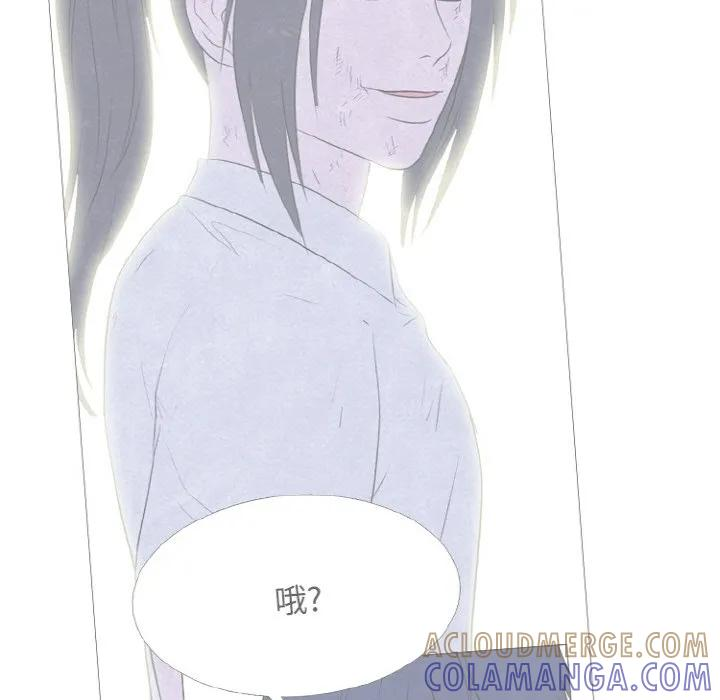 第228页