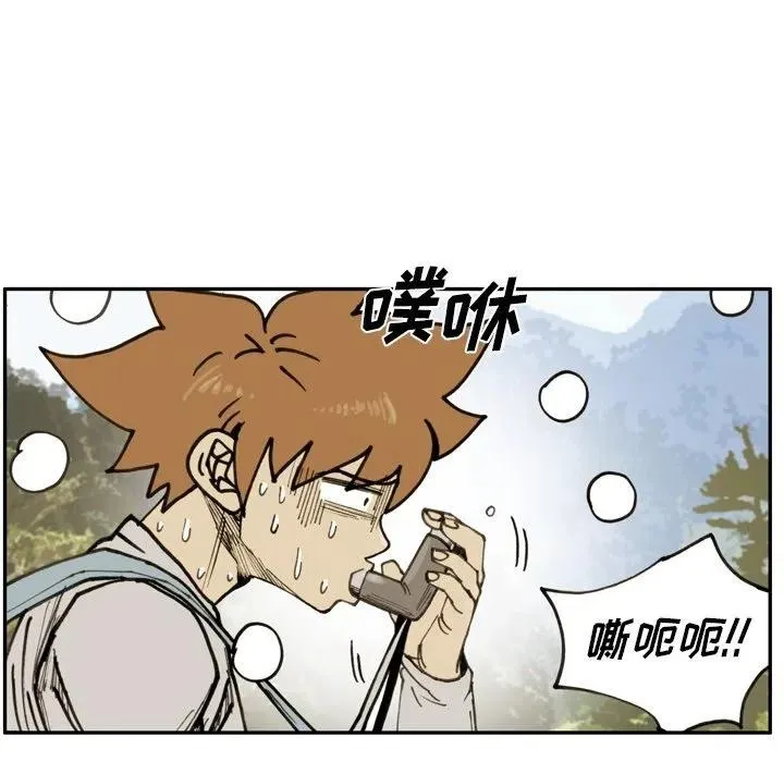 第240页