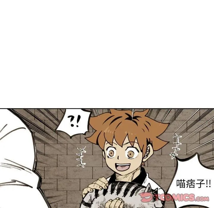 第231页