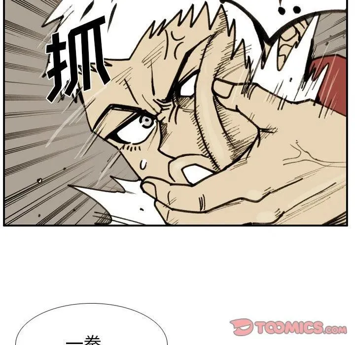 第231页