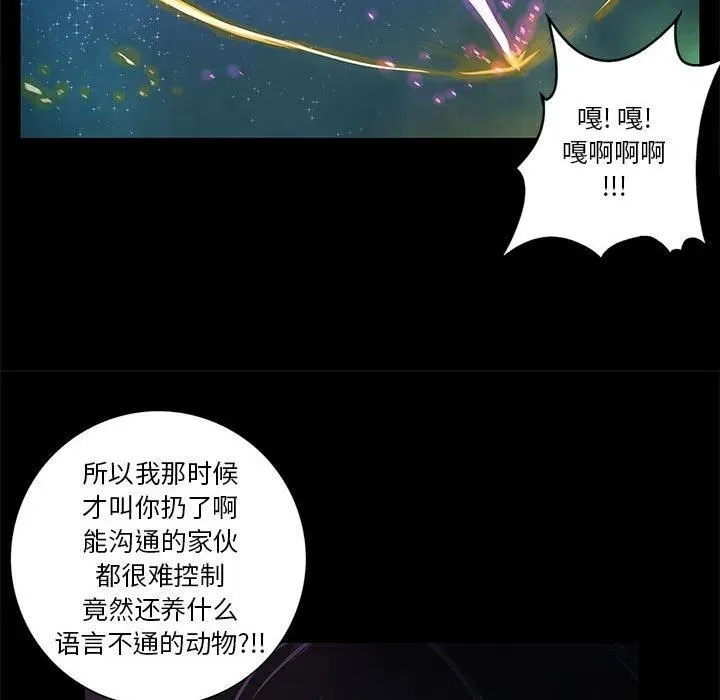 第231页