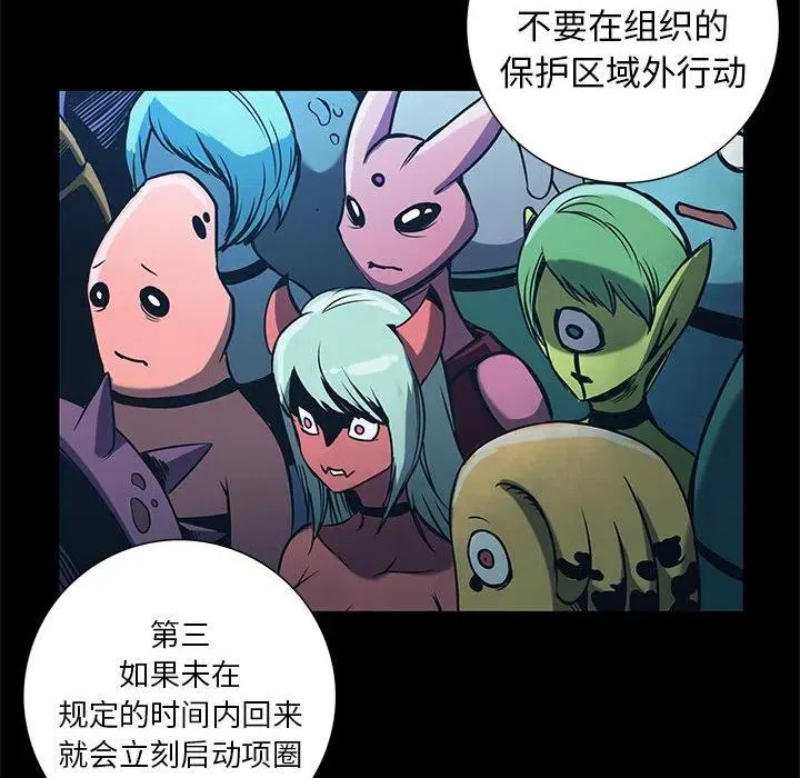 第249页
