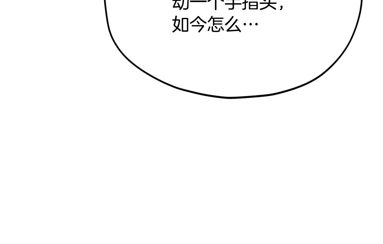 第555页