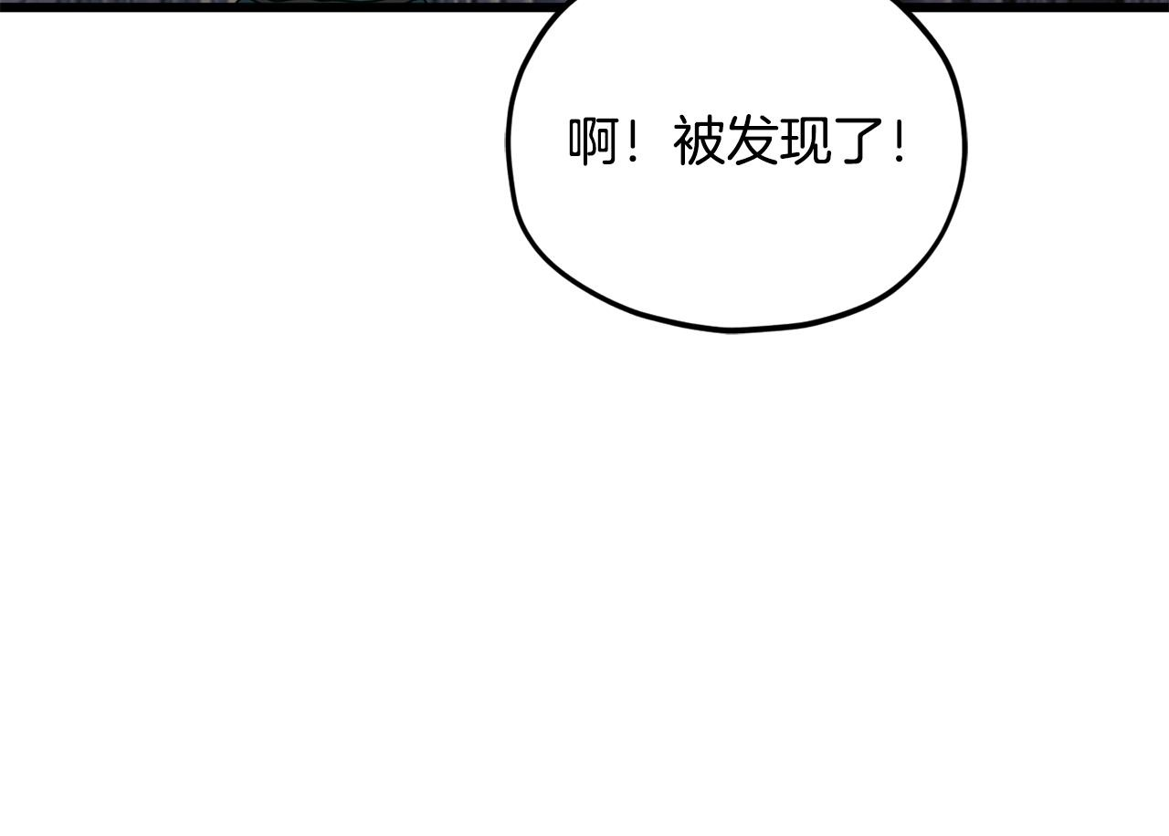 第597页