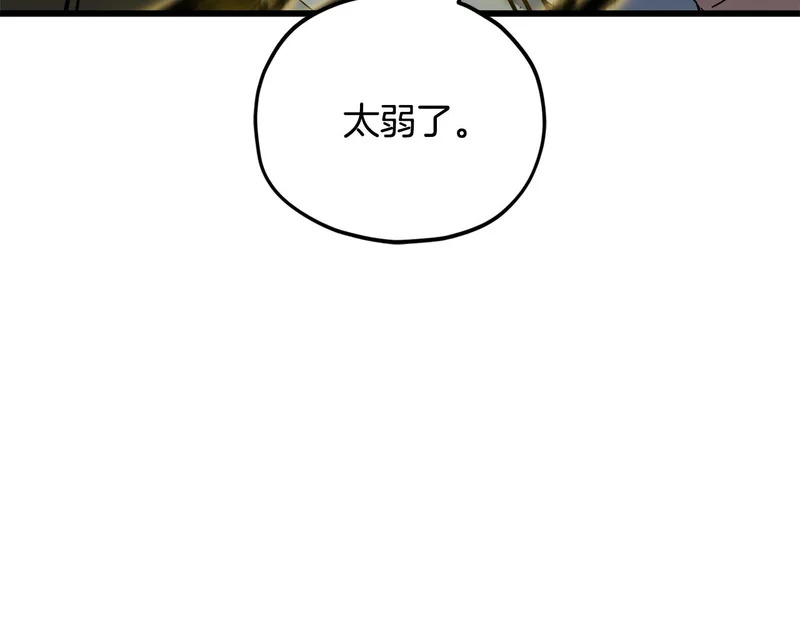 第486页
