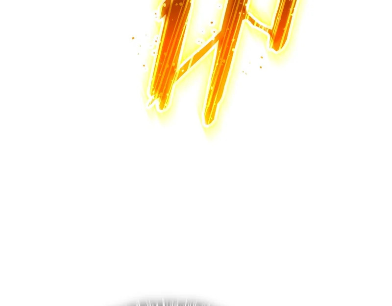 第507页