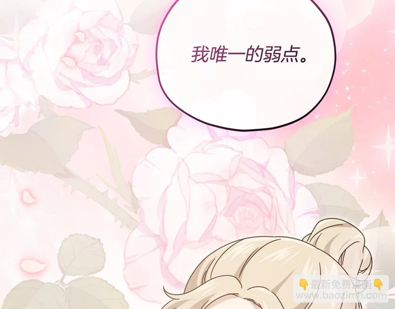 第384页