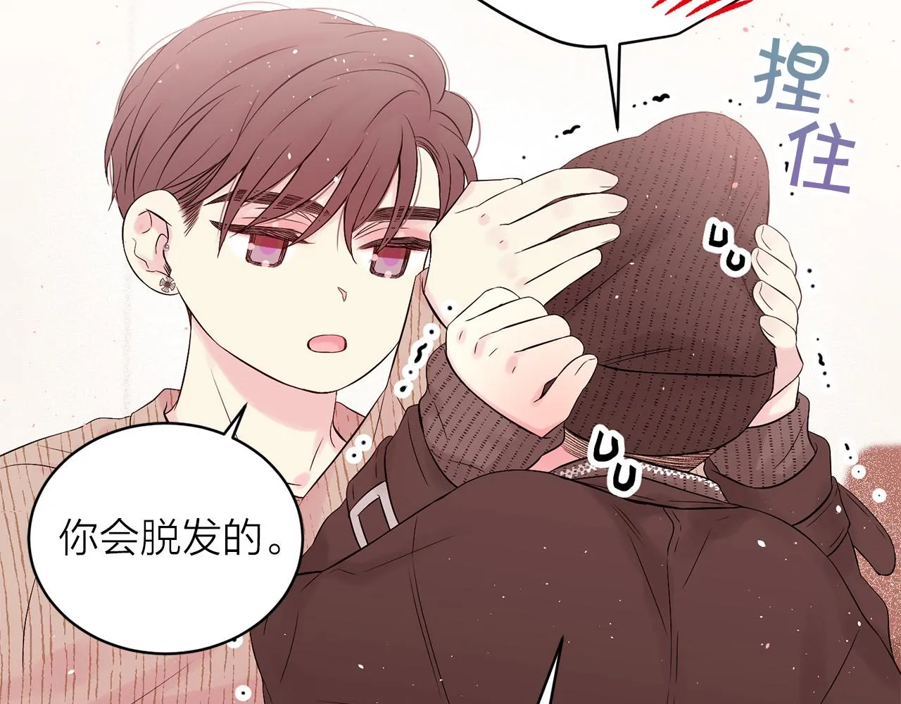 第426页