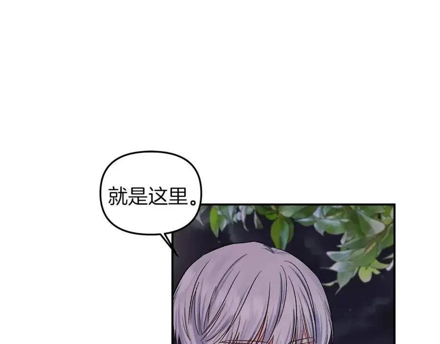 第246页