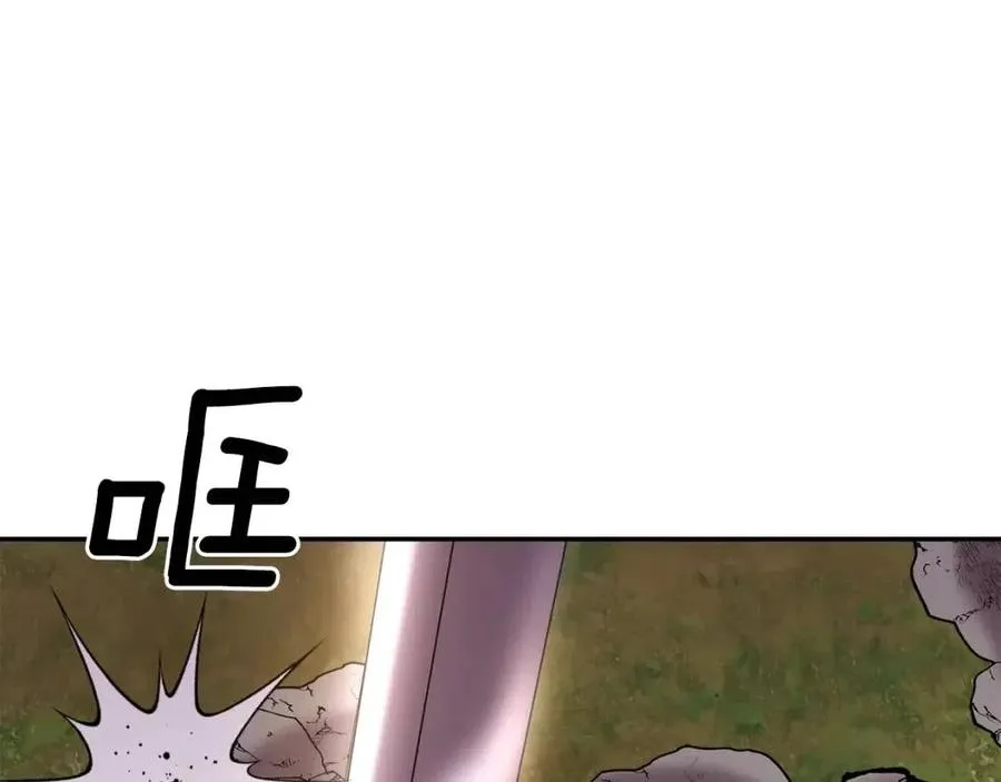 第246页
