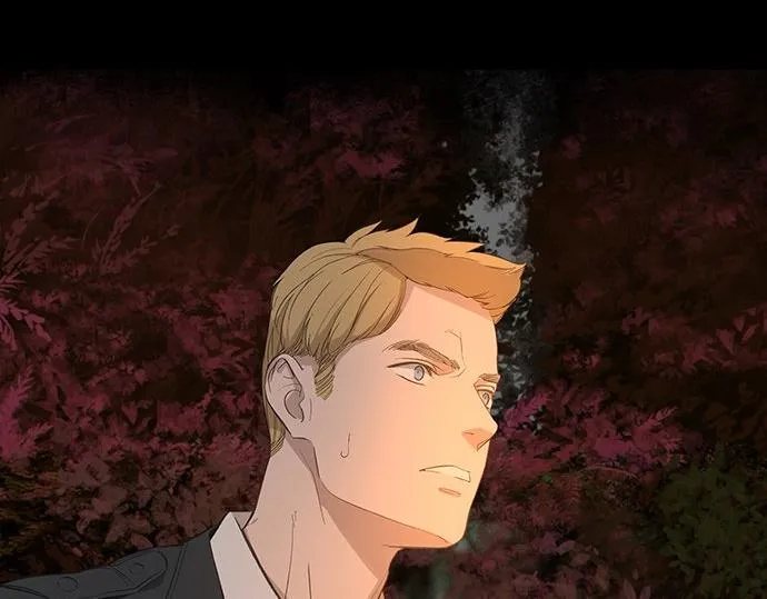 第255页