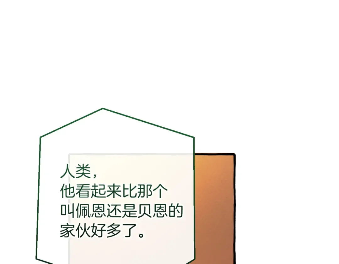 第300页