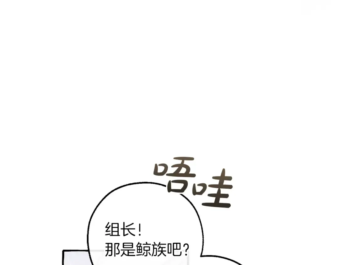 第291页