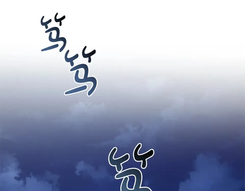 第504页