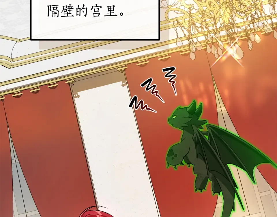 第204页