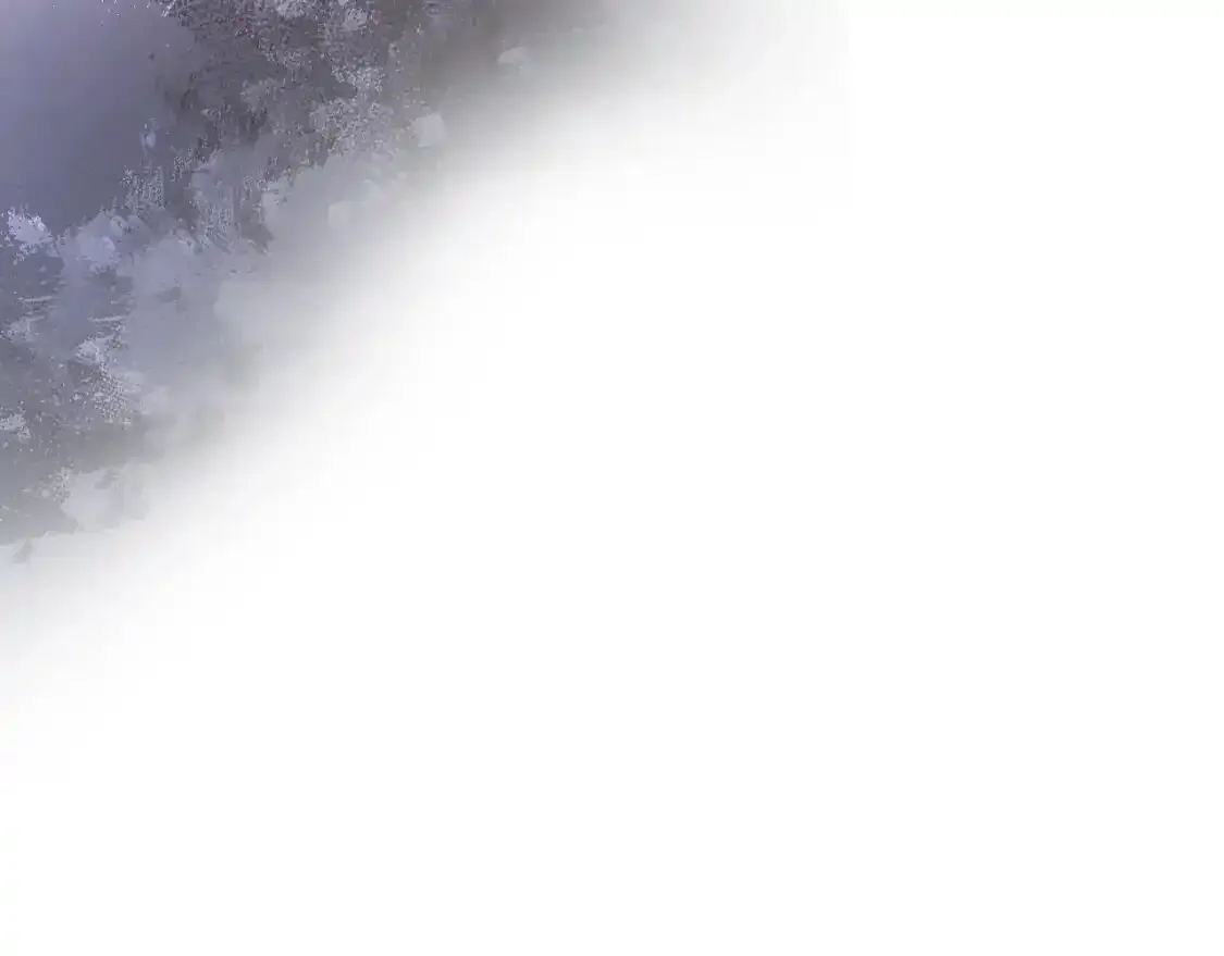 第240页