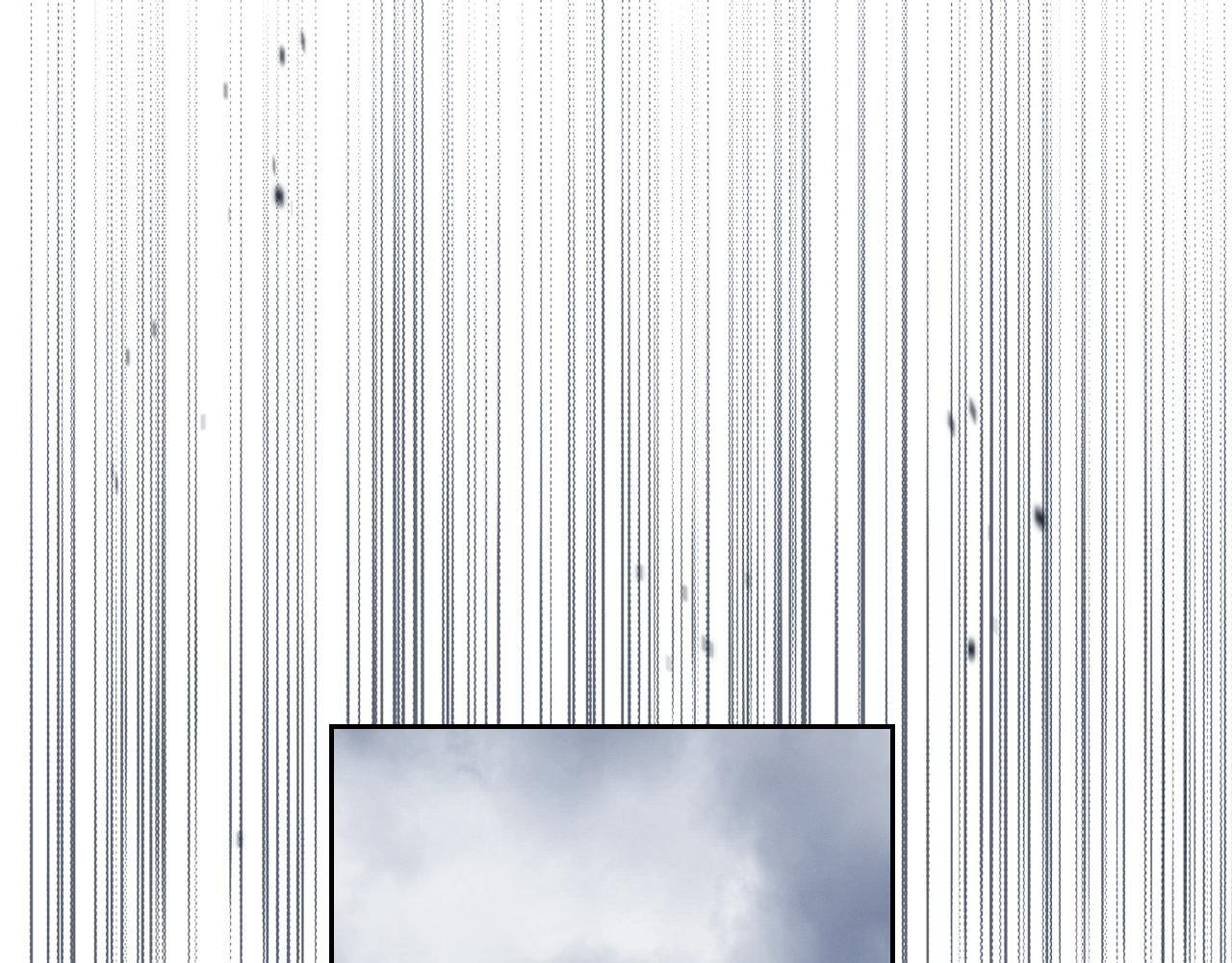 第423页