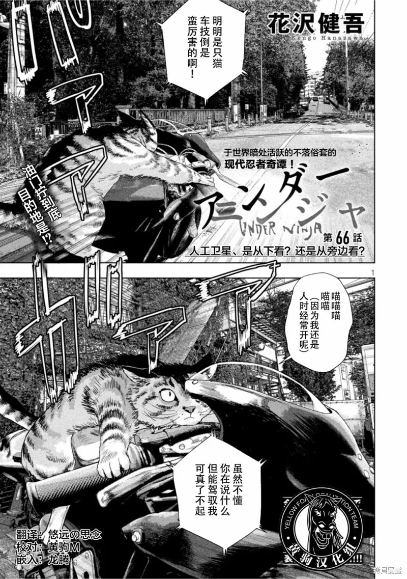 第0页