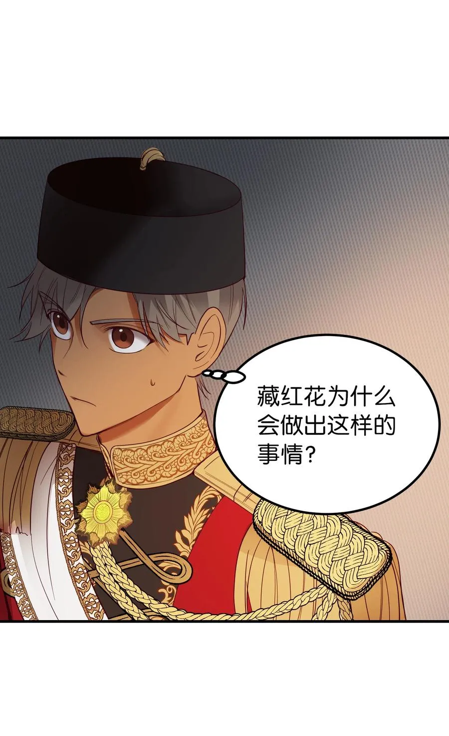第231页